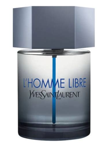 ysl pour homme pants|ysl libre homme.